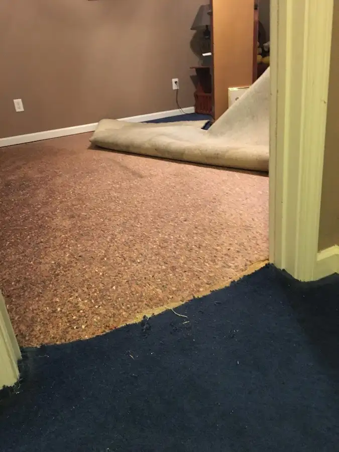 Carpet pad removal revealing water damage during Drying & Dehumidification in Scotch Plains