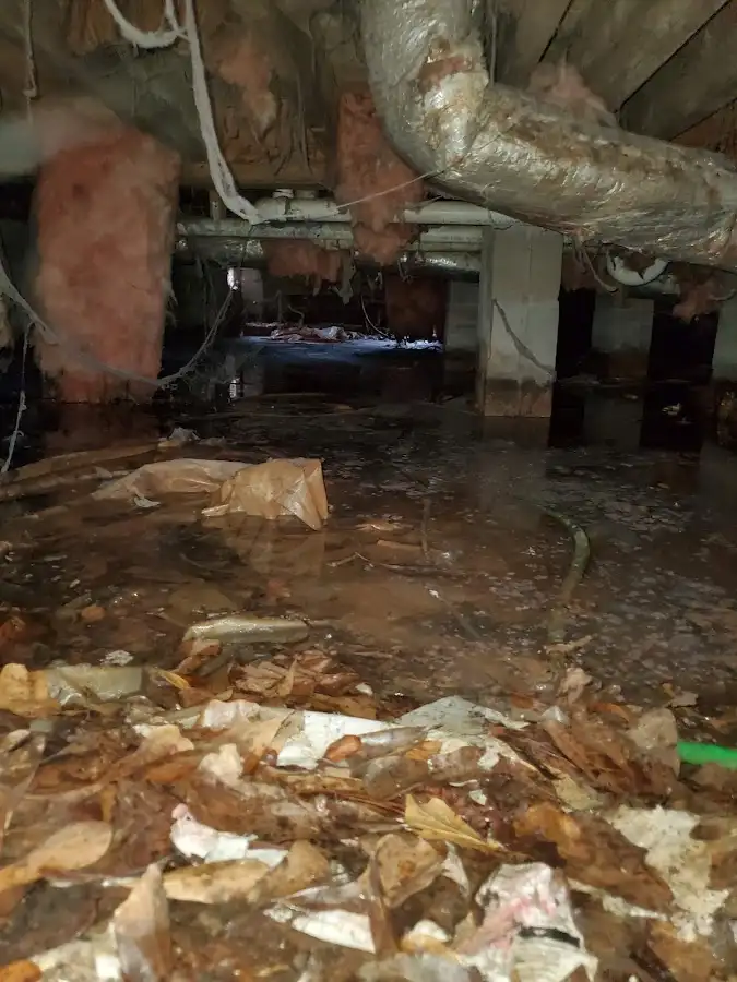 Crawl space flood assessment for Leak Detection & Repair in Scotch Plains